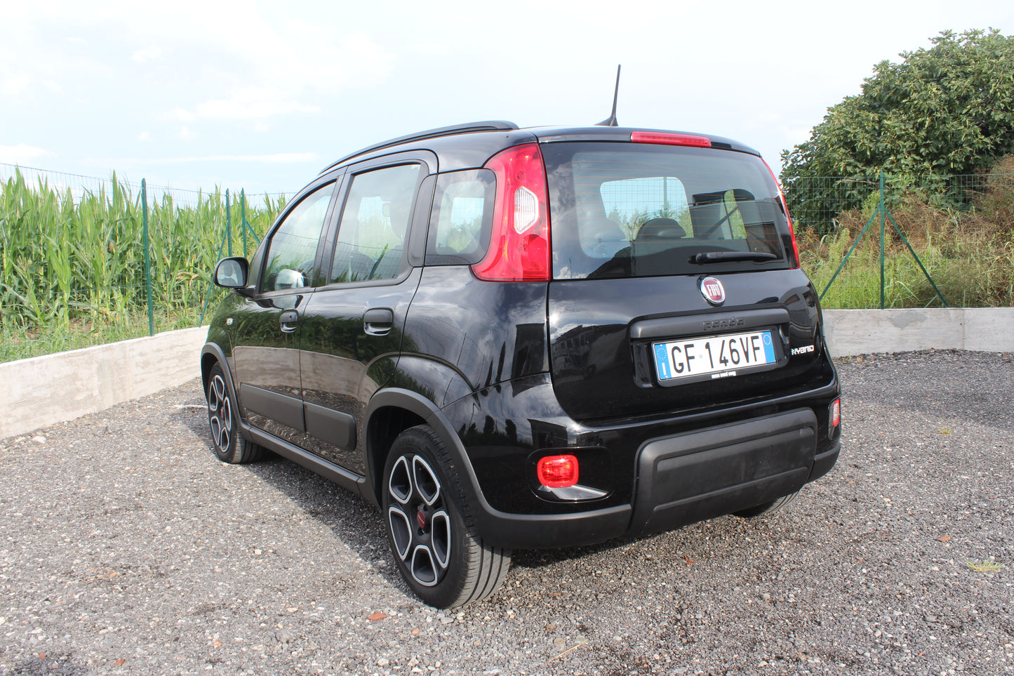 FIAT PANDA 1.0 FIREFLY HYBRID S&S CITYLIFE