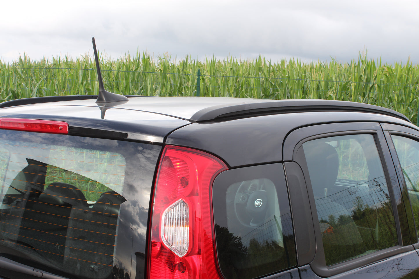 FIAT PANDA 1.0 FIREFLY HYBRID S&S CITYLIFE