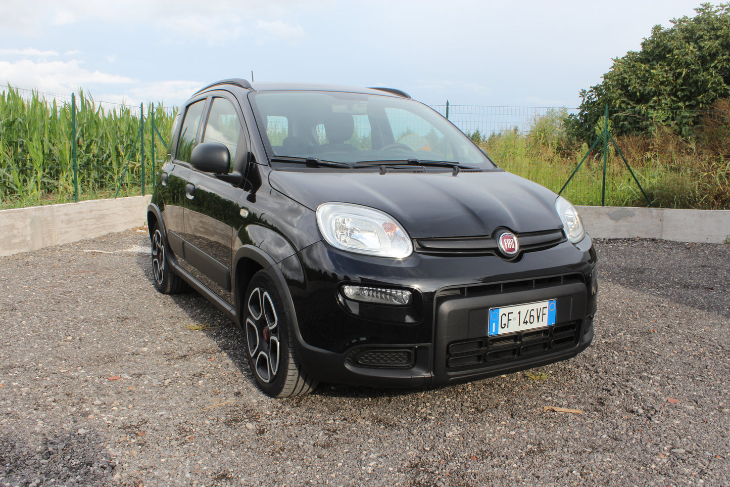 FIAT PANDA 1.0 FIREFLY HYBRID S&S CITYLIFE