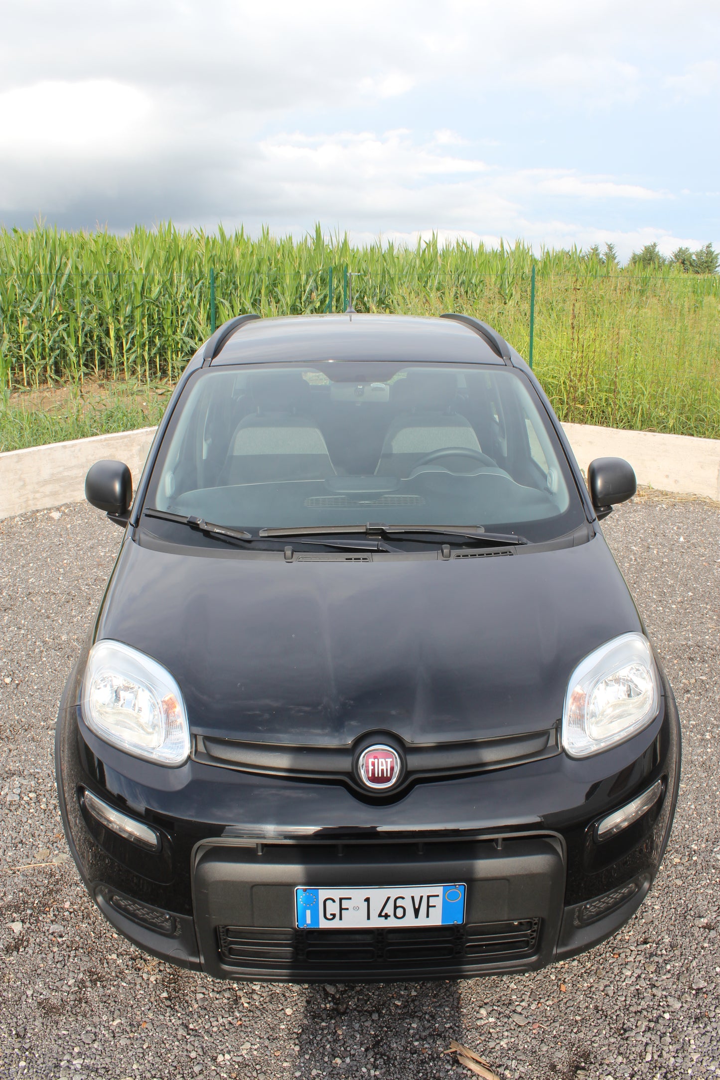 FIAT PANDA 1.0 FIREFLY HYBRID S&S CITYLIFE